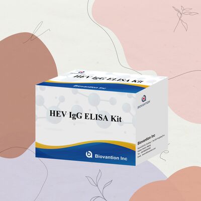 Kit de teste ELISA HEV-IgG de alta sensibilidade com tamanho de 96T e validade de 18 meses para diagnóstico de hepatite E