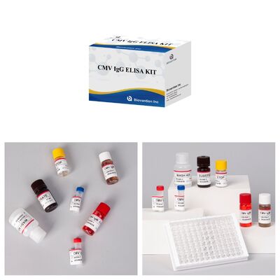 Kit de teste ELISA CMV 96T com detecção colorimétrica e método sanduíche para anticorpos contra citomegalovírus