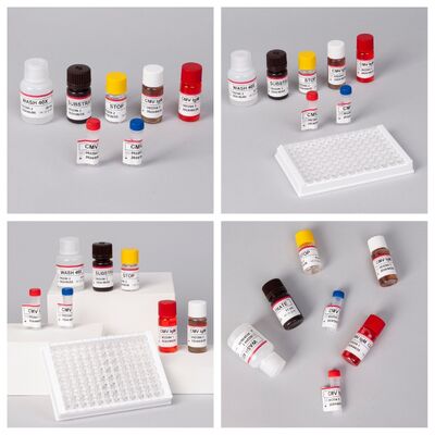 Kit de teste ELISA CMV 96T com detecção colorimétrica e método sanduíche para anticorpos contra citomegalovírus