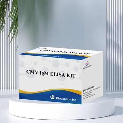 Kit de teste ELISA CMV 96T com detecção colorimétrica e método sanduíche para anticorpos contra citomegalovírus