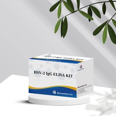 Kit de teste Elisa de detecção de anticorpos IgG contra o HSV-2 de alta sensibilidade e alta especificidade com 18 meses de validade