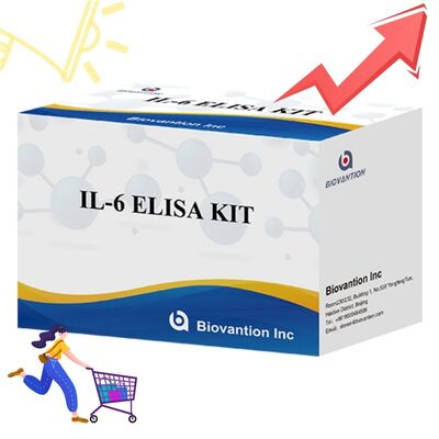 Kit ELISA Humano de Interleucina-6 IL-6 com 99% de Precisão, Validade de 24 Meses e 96 Testes/Kit