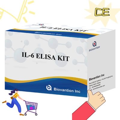 Kit ELISA Humano de Interleucina-6 IL-6 com 99% de Precisão, Validade de 24 Meses e 96 Testes/Kit