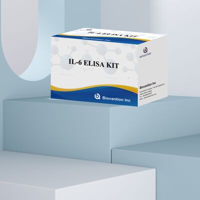 Kit ELISA Humano de Interleucina-6 IL-6 com 99% de Precisão, Validade de 24 Meses e 96 Testes/Kit