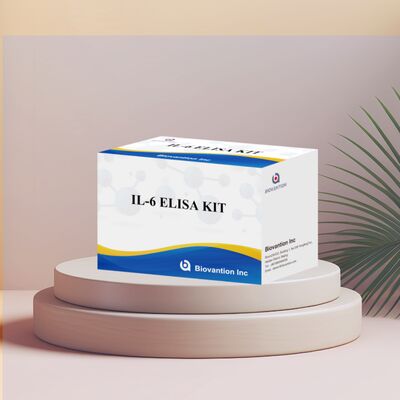 Kit ELISA Humano de Interleucina-6 IL-6 com 99% de Precisão, Validade de 24 Meses e 96 Testes/Kit