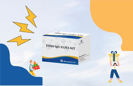 TOXO Ig G ELISA Test Kit with 99% Accuracy for Toxoplasma gondii IgG Detection, Endonuclease And Exonuclease Activity Tested, 24 Months Shelf Life
