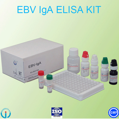 Espécime de EBV-VCA IgA Ab Test ELISA Kit Enzyme Immunoassay Test Plasma