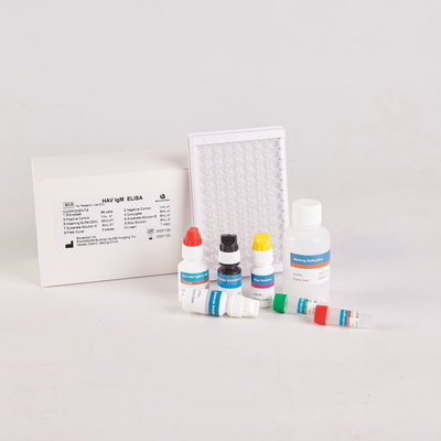Kit Elisa Malondialdeído Humano / Kit Elisa Humano