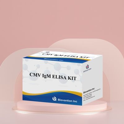Laboratory Or Hospital High Accuracy CMV IgG Elisa Test Kit