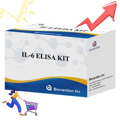 Kit ELISA de alta sensibilidade para detecção de IL6 Reagentes de investigação fiáveis para análise precisa de citocinas