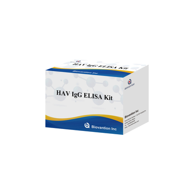 Alta sensibilidade HAV IgG ELISA Kit Precisão de detecção de vírus de hepatite A Confiável Certificado CE para uso clínico e de pesquisa