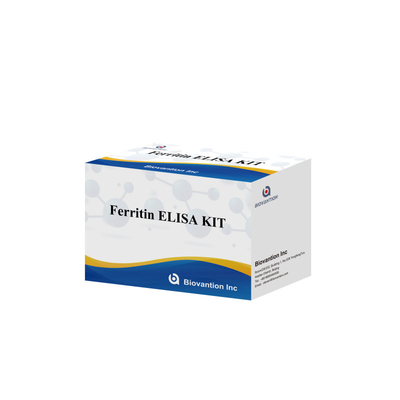 Biovanção Kit de teste de alta sensibilidade de ferritina Elisa Detecção quantitativa para diagnóstico clínico e pesquisa Uso de amostras de plasma do soro humano