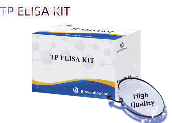 Kit de Teste ELISA TP para Sífilis 96T Detecção de Anticorpos contra Treponema Pallidum em Soro Humano
