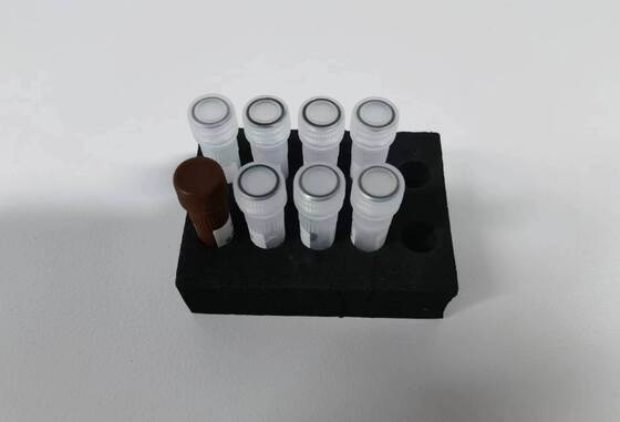 Teste de PCR de dengue detecção de alta qualidade com 48 testes