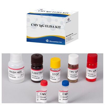 Kit de teste ELISA CMV 96T com detecção colorimétrica e método sanduíche para anticorpos contra citomegalovírus
