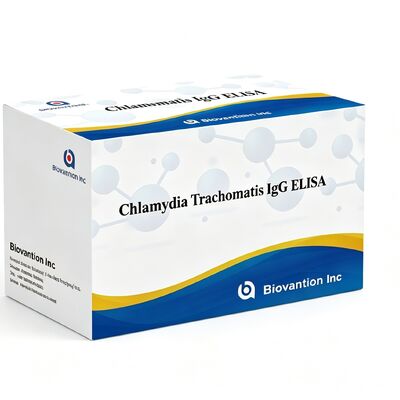 Anticorpos contra Chlamydia trachomatis (Ct) IgG ELISA Test Kit Sério/Plasma