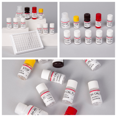 Thyroid Stimulating Hormone Thyrotropin TSH ELISA Test Kit Quantitative Sandwich Enzyme Immunoassay Kit for Thyroid Function Detection