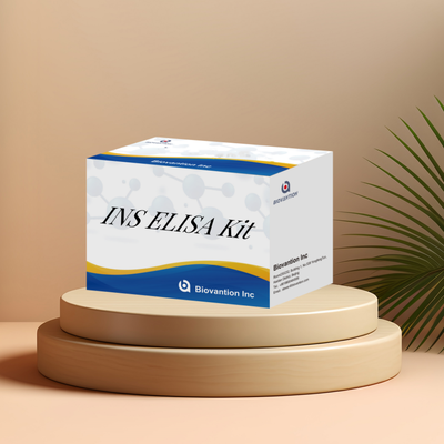 Human INS (Insulin) ELISA Kit | Insulin Quantitative Test ELISA Assay Kit, Sandwich ELISA  For Serum Plasma 96 Tests Laboratory Research Reage
