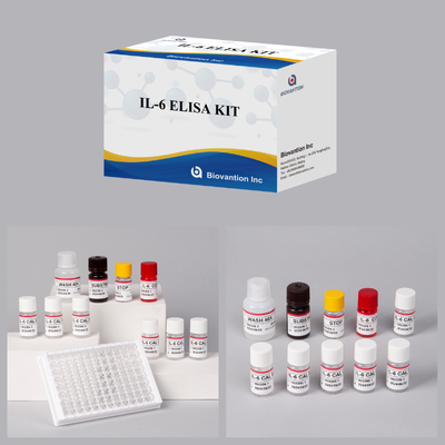 IL6 ELISA Kit | Interleukin-6 Sandwich ELISA Assay Kit for Cytokine Quantitative Detection in Biological Samples, Serum, Plasma, Cell Supernatant